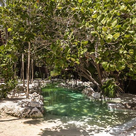 Niken Beachfront Tulum Hotel Ngoại thất bức ảnh