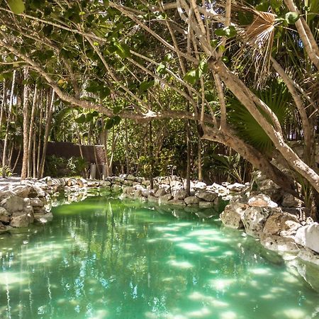 Niken Beachfront Tulum Hotel Ngoại thất bức ảnh