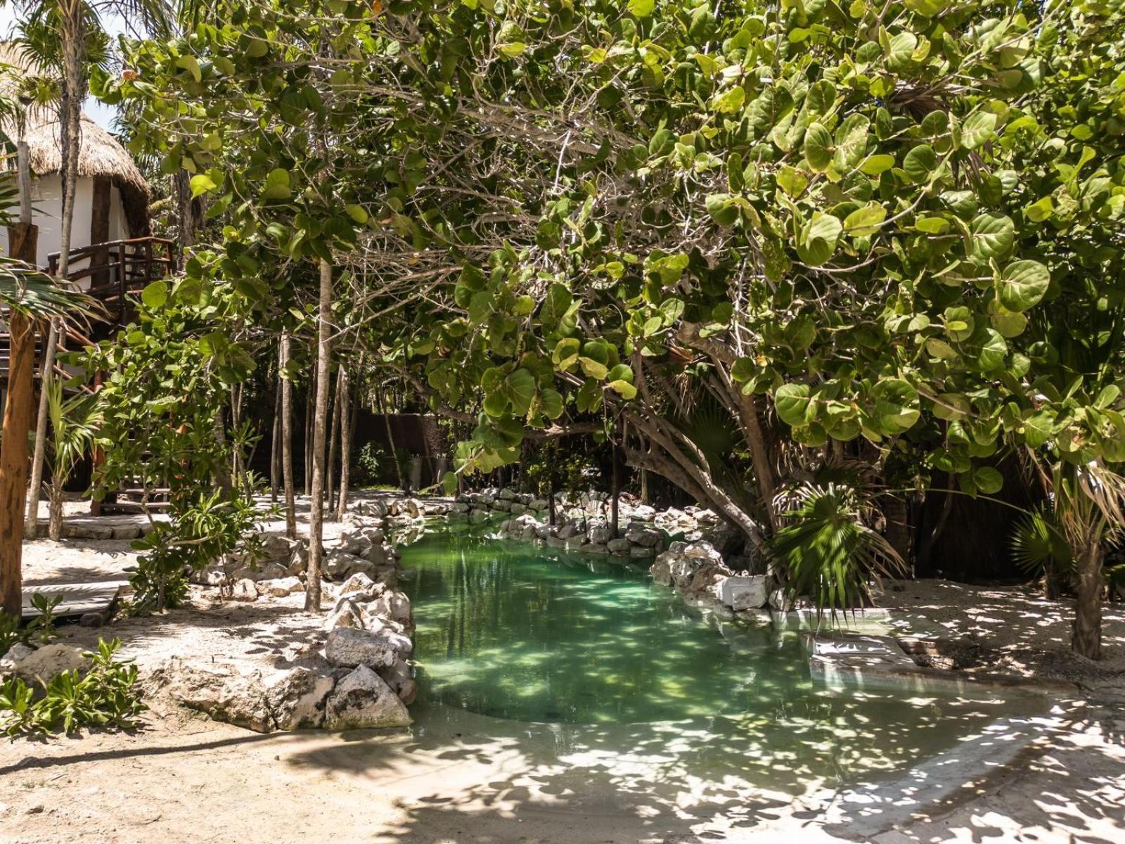 Niken Beachfront Tulum Hotel Ngoại thất bức ảnh