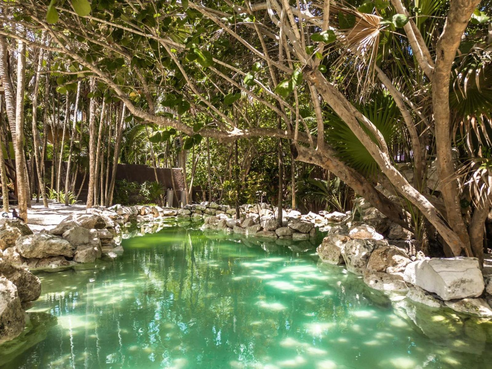 Niken Beachfront Tulum Hotel Ngoại thất bức ảnh