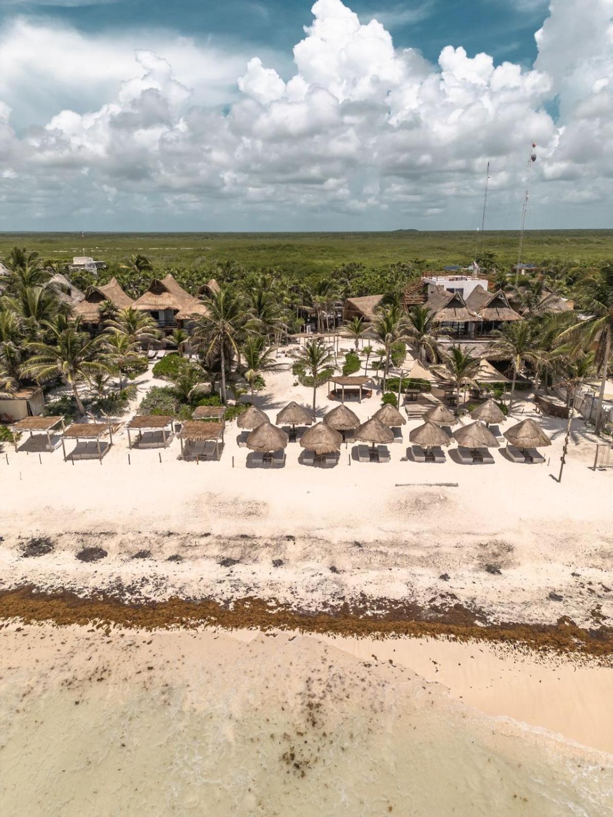 Niken Beachfront Tulum Hotel Ngoại thất bức ảnh